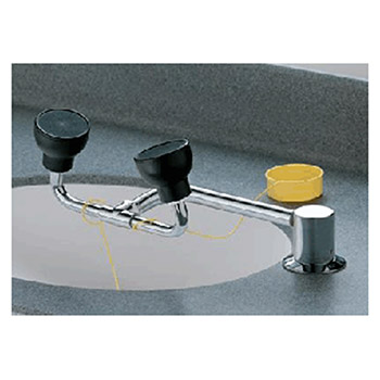 Bradley S19-270E Swing Activated Face Wash Fixture