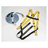 MSA Fall Protection Kit Workman Roofers 10074480