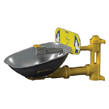 Bradley Wall Mounted Eyewash Stainless Steel S19224B