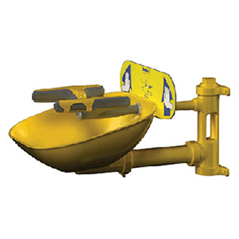 Bradley Wall Mounted Eye Face Wash Plastic S19224FW