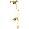 Bradley Combination Drench Shower Eyewash S19314EW