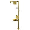 Bradley Combination Drench Shower Eyewash S19314PDC