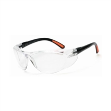 Radnor Safety Glasses Action Series Clear 64051271