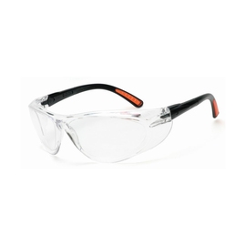 Radnor 64051272 Action Series Safety Glasses With Clear Frame And Clear Anti-Fog Lens, 6 Pair