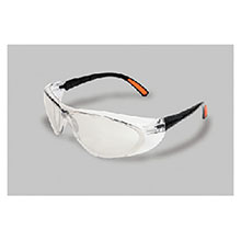Radnor Safety Glasses Action Series Clear 64051273