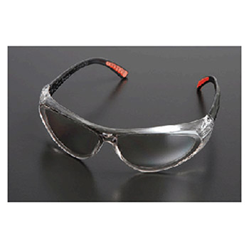 Radnor 64051274 Action Series Safety Glasses With Clear Frame And Gray Lens