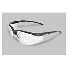 Radnor Safety Glasses Series Black 64051306