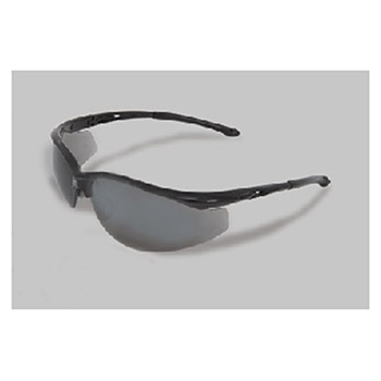 Radnor Safety Glasses Series Black 64051308