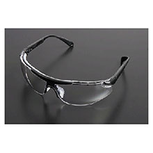 Radnor Safety Glasses Elite Plus Series 64051601