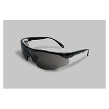 Radnor Safety Glasses Elite Plus Series 64051604