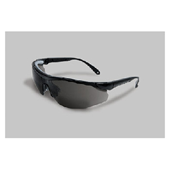 Radnor Safety Glasses Elite Plus Series 64051604