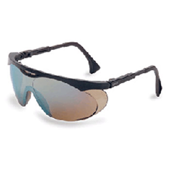 Uvex by Honeywell Safety Glasses Skyper Black Frame S1903